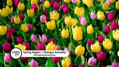Registration for spring programming begins on March 8.